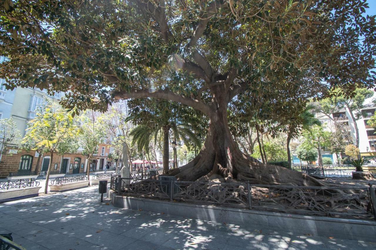 דירות קדיז Apartamento Aires Mediterraneos מראה חיצוני תמונה